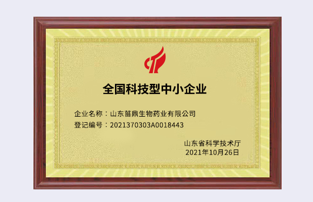 全國科技型中小企業(yè)
